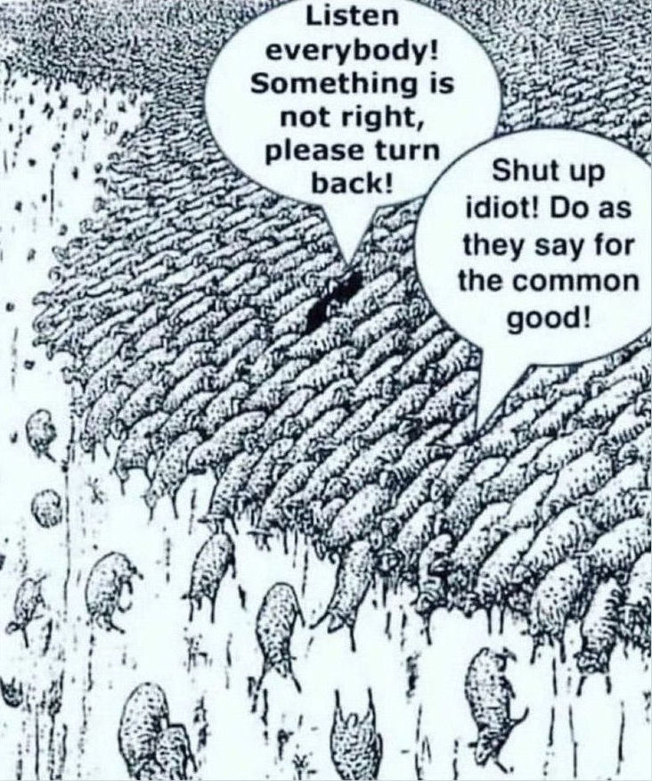 Sheeple don't listen to Conspiracy Theorists - until it's too late!